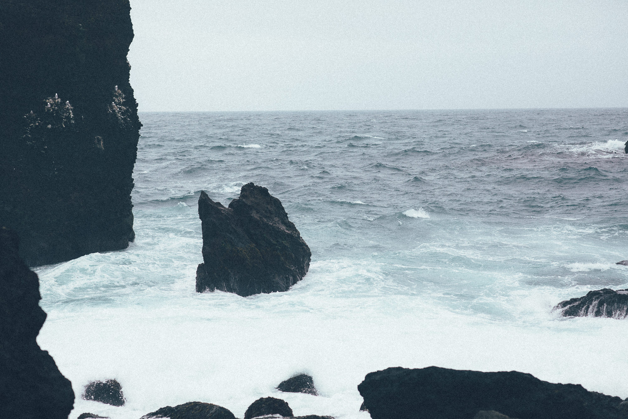 Export x3 5D4 8401 Victoria @ Reykanesviti 4